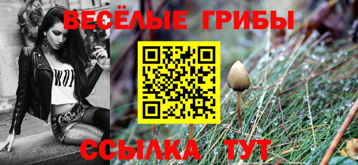 Галлюциногенные грибы Psilocybine cubensis Петропавловск-Камчатский