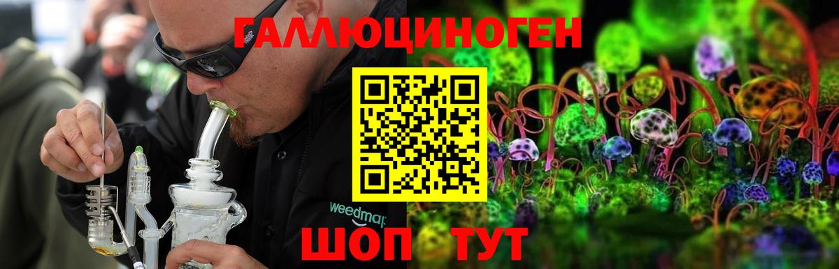 наркота  Вход с VPN  Галлюциногенные грибы Magic Shrooms  Петропавловск-Камчатский  Галлюциногенные грибы Cubensis 
